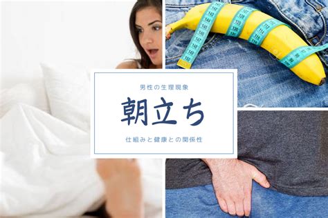 朝立ち しない 原因|男性が朝立ちする理由と原因・朝立ちしない原因と解。